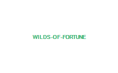 パチンコ 閉店 理由 Wilds of Fortune
